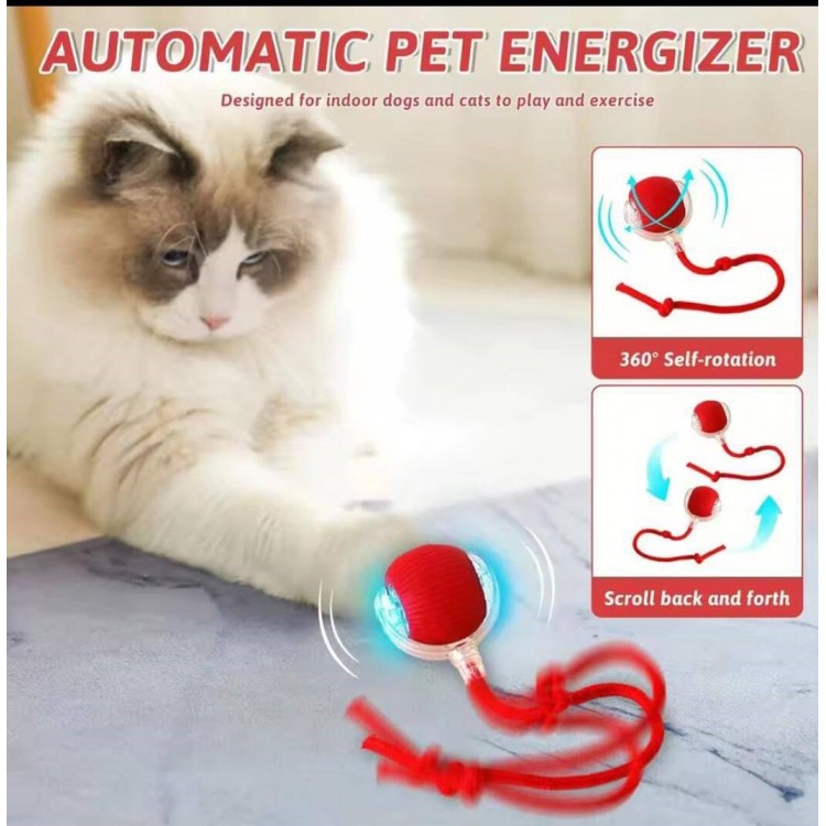 HAREKETLİ HALATLI KEDİ TOPU