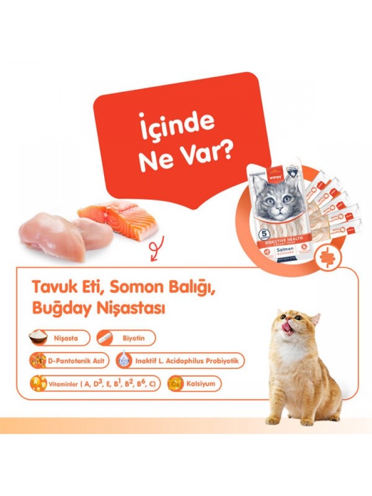 Wanpy Digestive Health Somon Balığı & Tavuk 12'li-F.Krema Ödül 5x14gr