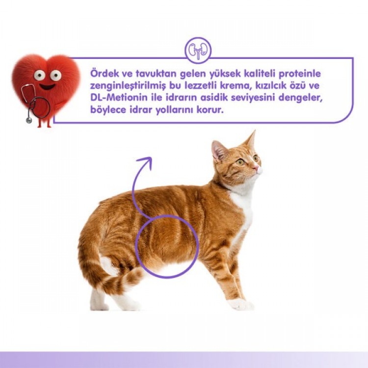 Wanpy Urinary Care Ördek & Tavuk 12'li-F.Krema Ödül 5x14gr