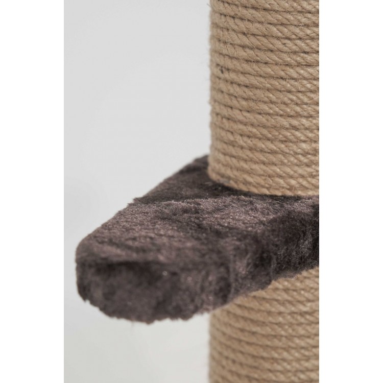 Tekli Tırmalama No1 (66 cm)